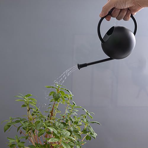 12 oz/350 ml Plant Watering Can, Rustproof Decorative Metal Indoor Watering Cans for House Plants with Long Spout,Small Durable Modern Water Can for Plants for Outdoor Flower Garden Gardening - Image 5