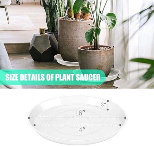 OUPSAUI 4 Pack Clear Plant Saucer 4 6 8 10 12 14 16 18 20 22 Inch Plant Trays for Pots, Plastic Extra Large Planter Saucers for Outdoors Indoors, Drip Catcher Water Tray for Plants (16 Inch) - Image 7