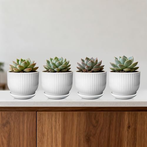 5.5 Inch Ceramic Plant Pot,White, 4 Pack - Image 4