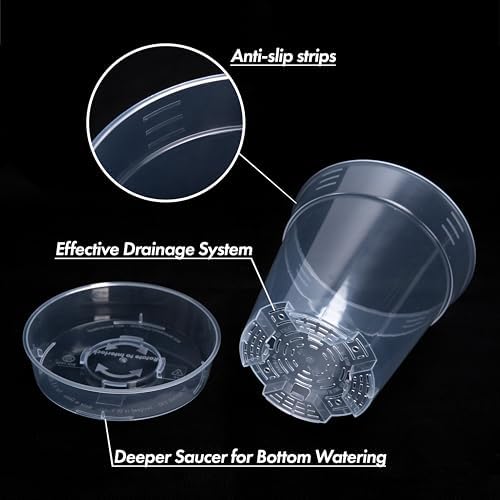 1 Gallon 6 Inch Clear Plastic Plant Pot with Drainage Holes, Interlocking & Detachable Tray - Deep Saucer - Durable BPA-Free Plastic, Transparent Design, Raised Base for Airflow, Set of 6, 92-X-A-6 - Image 5