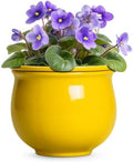 8 Inch SelfWatering Plant Pots, Ceramic Flower Pots, Yellow by Teagas
