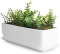 MyGift 14 Inch Unglazed White Ceramic Indoor Plant Pot with Drainage Hole by MyGiftHome