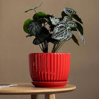 Ceramic Plant Pots Set of 3-Red Flower Pots with Drainage Holes and Saucers - Image 2