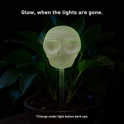 Soilagua 10 oz Glow-in-The-Dark Smiling Cute Skull Glass Plant Watering Globes, Halloween Goth Water Bulbs, Gothic Plant Self Watering Devices, Self Watering Planter Insert Plant Waterer, 2 Pack - Image 4