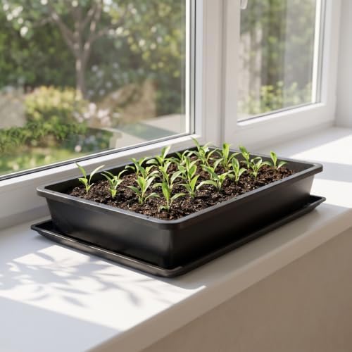 Kisangel 2 Set Flat Seed Starter Trays with Bottom Watering Trays for Vegetable & Wheatgrass Sprouting, Stackable Black Plastic Nursery Flats, 14.6 x 12 Inches - Image 4