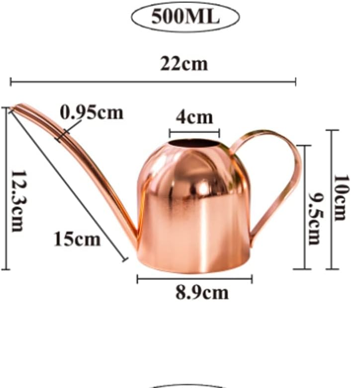 Stainless Steel Watering Kettle Can Long-mouthed Plant Indoor Small Pot Gardening(D) - Image 6