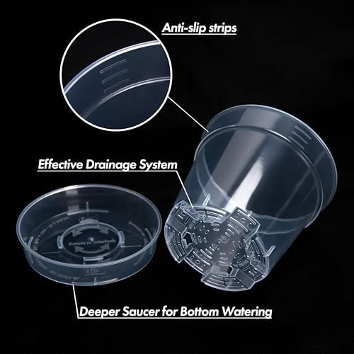 6 Inch Clear Plastic Plant Pot with Drainage Holes, Interlocking & Detachable Tray - Deep Saucer - Durable BPA-Free Plastic, Transparent Design, Raised Base for Airflow, Set of 12, 92-X-B-5 - Image 5