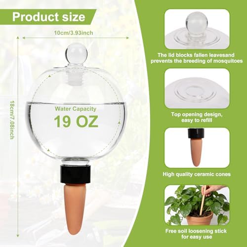 ZephyrBloom 19 Oz Large Self Watering Plant Watering Globes, Water Globes & Watering Bulbs for Indoor Outdoor Plants, Plant Water Feeders for All Plants While Away and Vacation Watering 4-Pack - Image 2