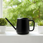 Watering Can for Indoor Long Spout Metal 1000ml for Succulents Watering Can - Image 4