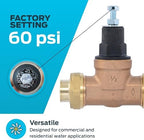 Cash Acme EB45 Pressure Regulating Valve, Double Union, 1/2 Inch NPT Female, Poly Top, 60 PSI, PVA08P-DUTH-60 - Image 3