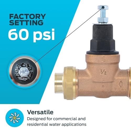Cash Acme EB45 Pressure Regulating Valve, Double Union, 1/2 Inch NPT Female, Poly Top, 60 PSI, PVA08P-DUTH-60 - Image 3