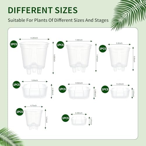 Cdd's Path Self Watering Pots Set with Deep Water Tank, Large Drainage Holes, Reservoir & Air Pipes, 5/6/7/8 Inch Naked Root Planter for Indoor Outdoor Plants, Flowers, Seedlings, Clear, 4 Pack - Image 3