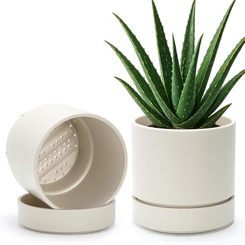 Phoenix Vine 6 Inch Planter Pot with Drainage Hole & Saucer, Deep Water Catch Tray, Straight Cylindrical Round Pot for Plants, Oatmeal, Pack of 2, 23-E-S-2 by Phoenix+Vine