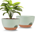 Vanslogreen Plant Pots 12inch Self Watering Pots, Set of 2 Plastic Planters with Drainage Holes and Saucers, Flower Pots for Indoor Outdoor Plants (Green) by Vanslogreen