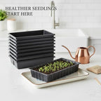 Indoor Gardening & Greenhouse Bench Seedling Trays, 10-Pack Solid Bottom Plant Germination Trays for Bottom Watering, 15.35 x 11.42 Inches - Image 2