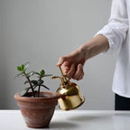 Vintage Brass Watering Can Stainless Steel Water Bottle True Flower Succulent Plants Bonsai Spray Sprinkling(D) - Image 5