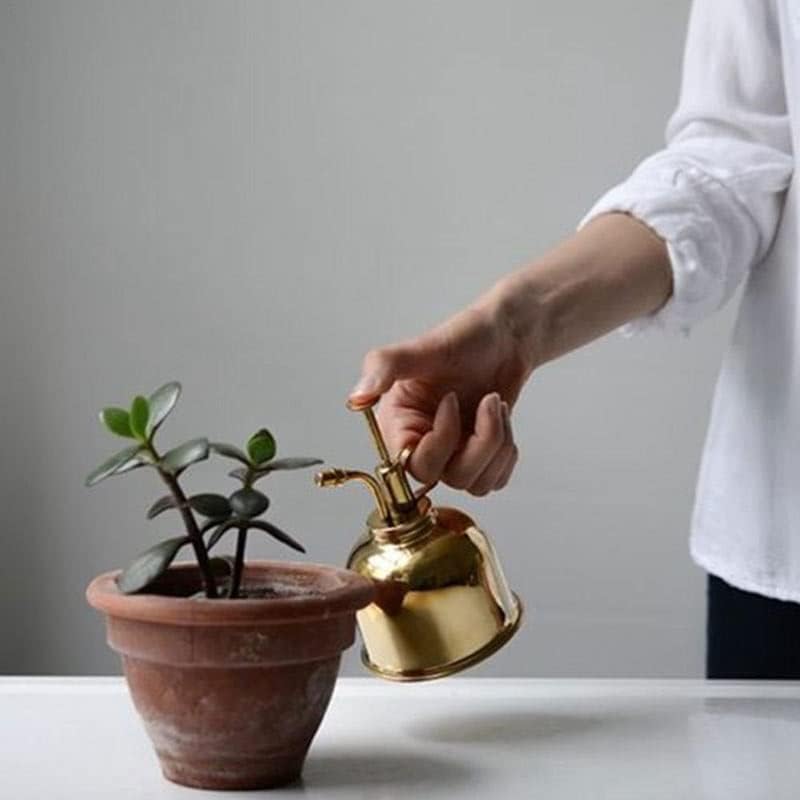 Vintage Brass Watering Can Stainless Steel Water Bottle True Flower Succulent Plants Bonsai Spray Sprinkling(D) - Image 5