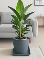 Square Ceramic Plant Saucer Tray 12 13 14 Inch Grey,14" OD x12.2 ID x1.6 Deep, Sturdy Heavy Duty Glazed Planter Drip Flower pots with Catch Basin for Indoor Outdoor Plants(14" Grey) - Image 3
