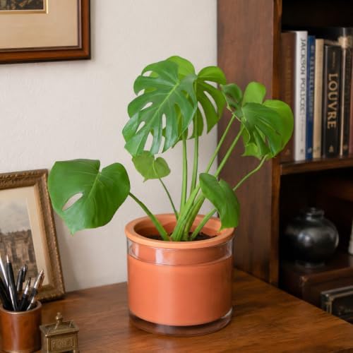 Phoenix Vine 4 Inch 6 Inch Self Watering Plants Pots, Design Terracotta Pots for Plants, Indoor Cylinder Terra Cotta Planter with Glass Vase Set, 51-A-G-46 - Image 5
