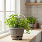 Sun-E 10" Self-Watering Whiskey Barrel Planter 3 Pack for Indoor Outdoor - Image 3