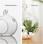 WGV Hanging Terrarium Globe, Width 2.5", Height 3", DIY Air Succulent Planter, Clear Glass Vase Orb with Flat Bottom, Candle Holder for Windowsill Outdoor Garden Decor, 6 Pieces Bulk - Image 3