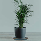 W&W Ceramic Plant Saucer - Plant Trays for Indoor Pots (Teal, 10 inches, 2 Packs) - Image 6