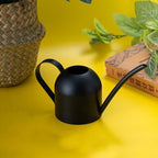 Vintage 500ml Metal Watering Can with Long Spout, Black Stainless Steel Plant Watering Pot for Indoor and Outdoor Garden Use - Image 3
