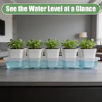 RooTrimmer 1020 Nursery Pot Trays 5 Pack, Transparent Plastic Flat Seed Starter Tray, Durable Square Seedling Starting Tray for Holding and Carrying Plant Pots (Clear) - Image 3