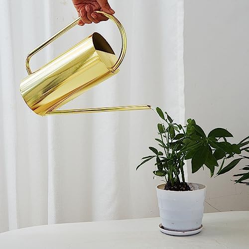 Stainless Steel Watering Can, Indoor Metal Watering Can Long Spout 1500ml Large Capacity Watering Kettle for Desk Office Plants (Gold) - Image 6