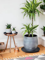 Kalolary 2 Pack Plant Saucer for Potted Plant 20 Inch Plant Pot Saucers - Image 4