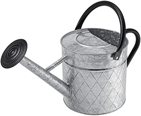 1.75 Gallon Outdoor Galvanized Metal Watering Can for Garden Plants, Vintage Zinc Watering Can with Removable Spray Spout, Ideal for Outdoor Use (Silver) by BLstyle