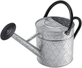 1.75 Gallon Outdoor Galvanized Metal Watering Can for Garden Plants, Vintage Zinc Watering Can with Removable Spray Spout, Ideal for Outdoor Use (Silver) by BLstyle