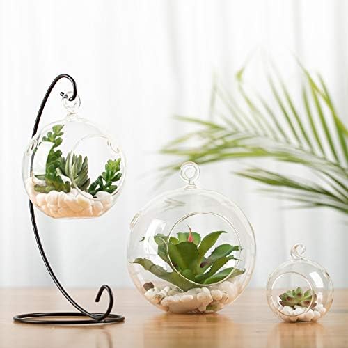 WGV Hanging Terrarium Globe, Width 2.5", Height 3", DIY Air Succulent Planter, Clear Glass Vase Orb with Flat Bottom, Candle Holder for Windowsill Outdoor Garden Decor, 6 Pieces Bulk - Image 7