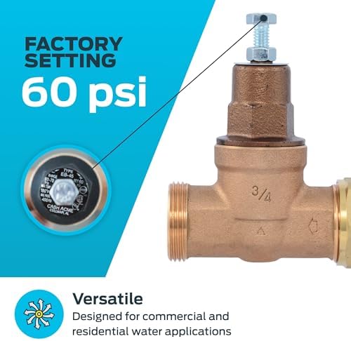 Cash Acme EB45 Pressure Regulating Valve, Single Union, 3/4 Inch NPT Female x NPT Female, Metal Top, 60 PSI, PVA16M-SUTH-63 - Image 3