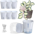 8 Pack 4" Self Watering Pots for Indoor Plants, Clear Inner Cup, Small Blue Grey Plastic Planters, Water Level Indicator, Drainage Holes,Extra 3ft Wick, Cutting,Seedling,Herb,African Violet by Vandorelle