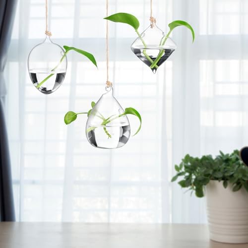 Zopeal 6 Set Wall Hanging Glass Planter Terrarium Propagation Station Vase Container Watering Squeeze Bottle with Rope and Hook for Hydroponic Plants Flower Home Decor Gifts (Classic Style) - Image 4