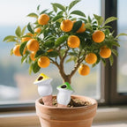 Water Globes for Outdoor Plants Mushroom Shape Automatic Irrigation Devices - Image 2