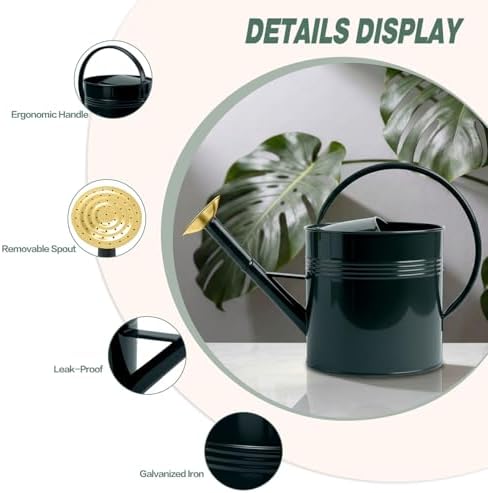 2.5 Gallon Dark Green Metal Watering Can for Plants and Garden with Removable Spout, Made of Galvanized Iron - Image 3