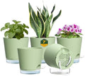 Meowell 7 inch Self Watering Pots for Indoor Plants, 5 Pack Plant Pots with Drainage Holes & Clear Reservoir for Visible Water Level, Plastic Wicking Planter Pots for House Plants and Flower, Green by Meowell