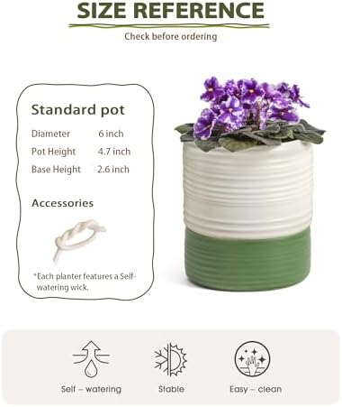 Fayoula Self Watering Pots for Indoor Plants, 6 Inch Ceramic Self Watering Plant Pot, Planter Pot with Wick Rope and Drainage Hole for African Violet Succulent Herbs (White Matte) - Image 2