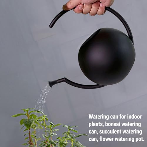 Watering Can Indoor Plants, 1L Cute Watering Pot, Metal Stainless Steel Garden Water Can with Long Spout for Indoor House Plants Bonsai Outdoor Garden Flower Decorative - Image 3