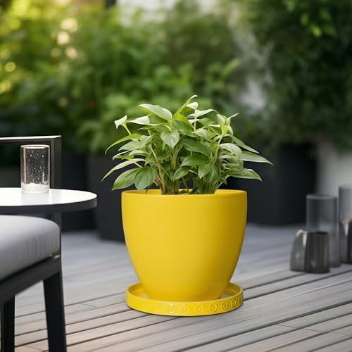 Eightpot Plant Drip Trays, 11.4 Inch Plant Saucers for Indoors, Ceramic Plant Saucers for Outdoors, Round Plants Plates to Catch Water, Boho Decorative Plants Dishes to Catch Water, Yellow - Image 4