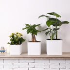 Alasum Self Watering Flower Pot and Detachable Planter Large Capacity Plastic with Double Layer Design and Thick Cotton Rope Featuring Convenient Water Surplus Observation for Desk Use - Image 6