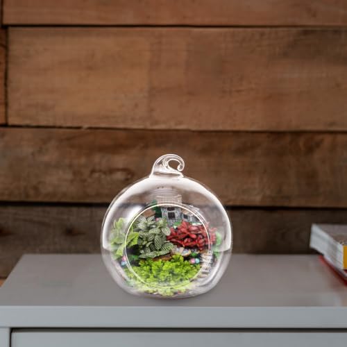 Glass Globe Terrarium Hanging Planter 12pcs for Succulents and Moss - Image 6