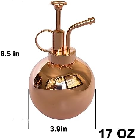 Plant Mister Spray Bottle Stainless Steel Plant Sprayer, Small Watering can Plant Spray Bottle Modern Gardening Tools for Indoor Potted Plants Watering and Spraying - Image 2