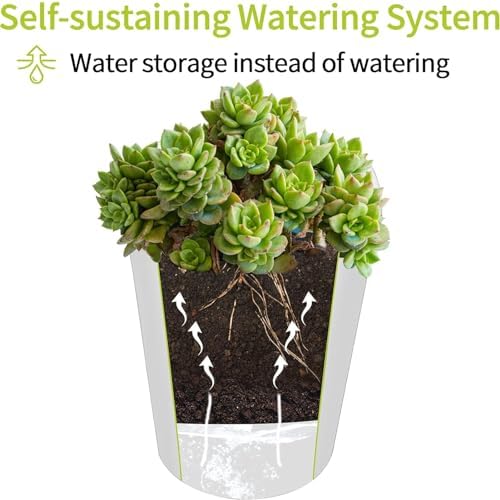 3" Self Watering Pots,20 Sets Self Watering Planter Pots for Indoor Plants with Water Level Indicator and Multiple Vents,Self Watering Planters,Self Watering Plant Pot for House Plants,Flowers,Herbs - Image 6