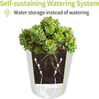 3" Self Watering Pots,20 Sets Self Watering Planter Pots for Indoor Plants with Water Level Indicator and Multiple Vents,Self Watering Planters,Self Watering Plant Pot for House Plants,Flowers,Herbs - Image 6