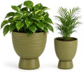 Green Terracotta Self Watering Plant Pots, 6 and 8 Inch with Saucers by vensovo