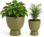 Green Terracotta Self Watering Plant Pots, 6 and 8 Inch with Saucers by vensovo