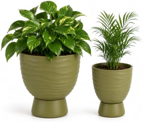 Green Terracotta Self Watering Plant Pots, 6 and 8 Inch with Saucers by vensovo